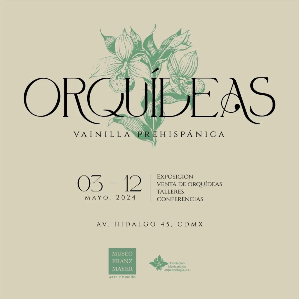 Expo Orquídeas