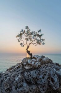 Salud mental financiera: el nuevo pilar del bienestar integral